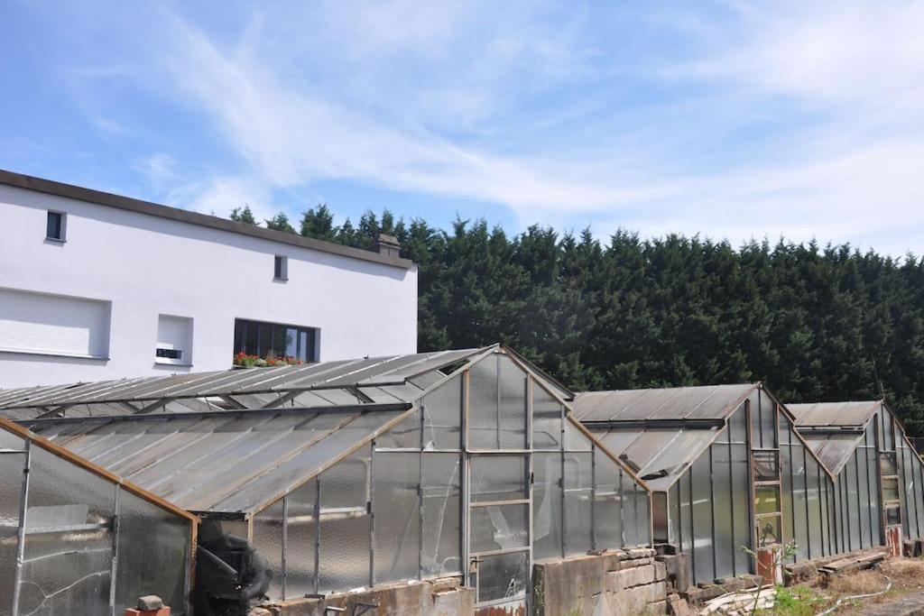 Gite St Nicolas Ancien Corps De Ferme Horticole Freyming-Merlebach Exteriör bild