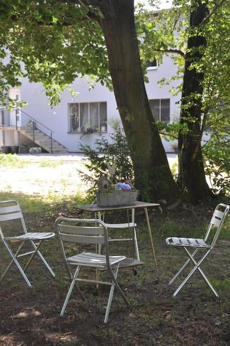 Gite St Nicolas Ancien Corps De Ferme Horticole Freyming-Merlebach Exteriör bild